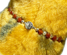 Carnelian Necklace Collar for Pets