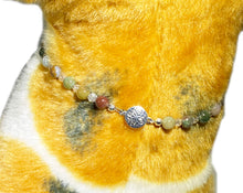 Jasper Necklace Collar for Pets
